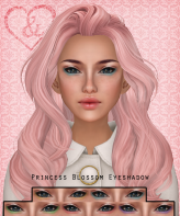Princess Blossom Makeup